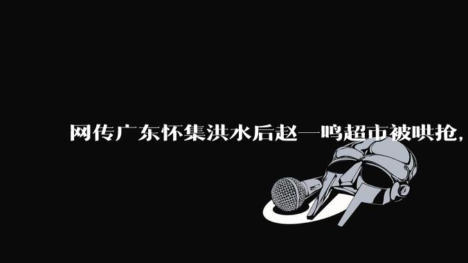 网传广东怀集洪水后赵一鸣超市被哄抢，县***回应相关单位正在核实，若属实哄抢者该承担哪些法律责任？