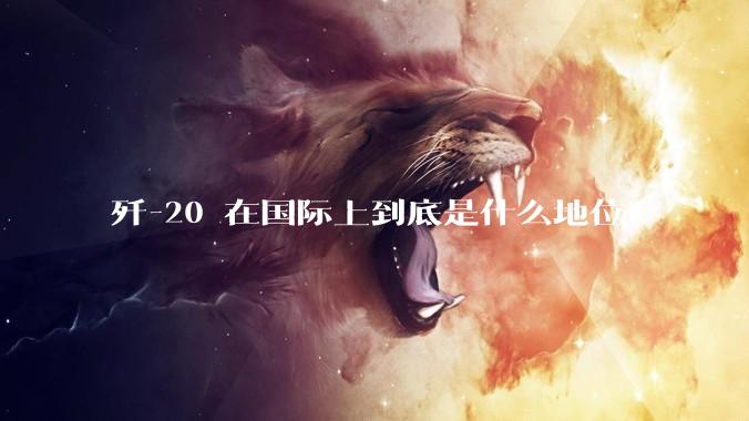 歼-20 在国际上到底是什么地位？